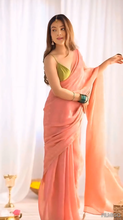 Fendi silk saree