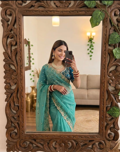 Women embroidered light green sky mixer saree