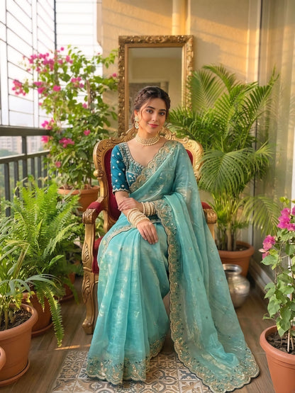Women embroidered light green sky mixer saree