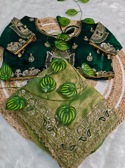 Embroidered organzan silk saree green 💚