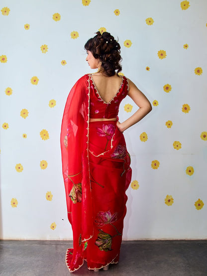Fancy scalloped lace border red designer saree