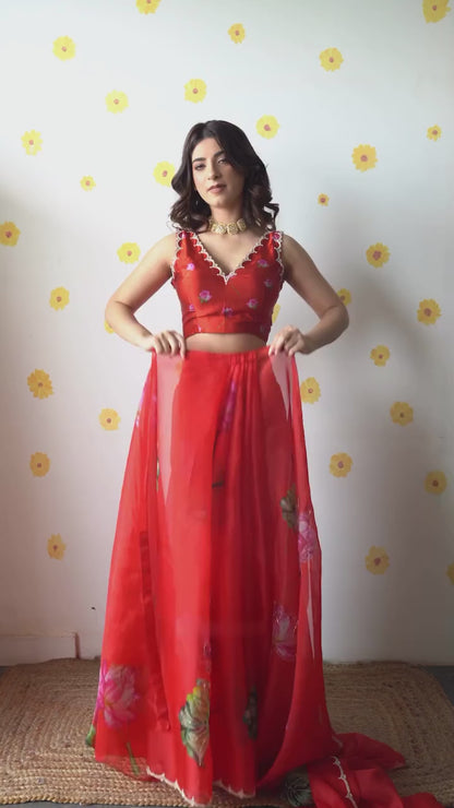 Fancy scalloped lace border red designer saree